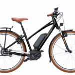 riese muller cruiser hs